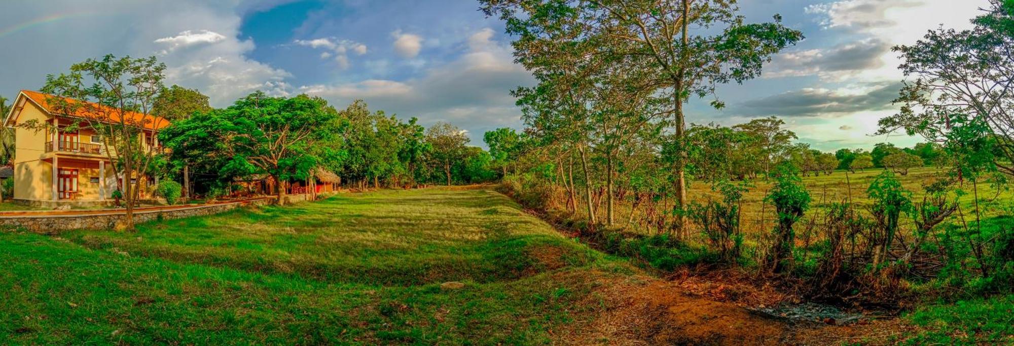 Sigiri Lanka Resort Sigiriya Exteriér fotografie